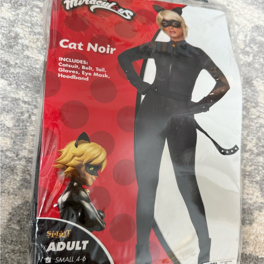 Miraculous Cat Noir Adult Costume